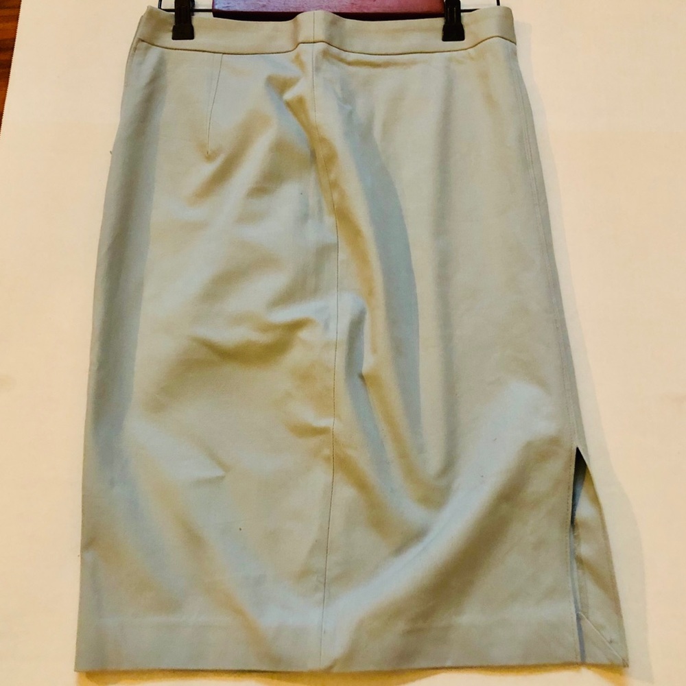 Banana Republic Skirt